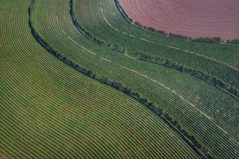 Pesquisa aponta descompasso entre percepção dos produtores e imagem do agro na sociedade