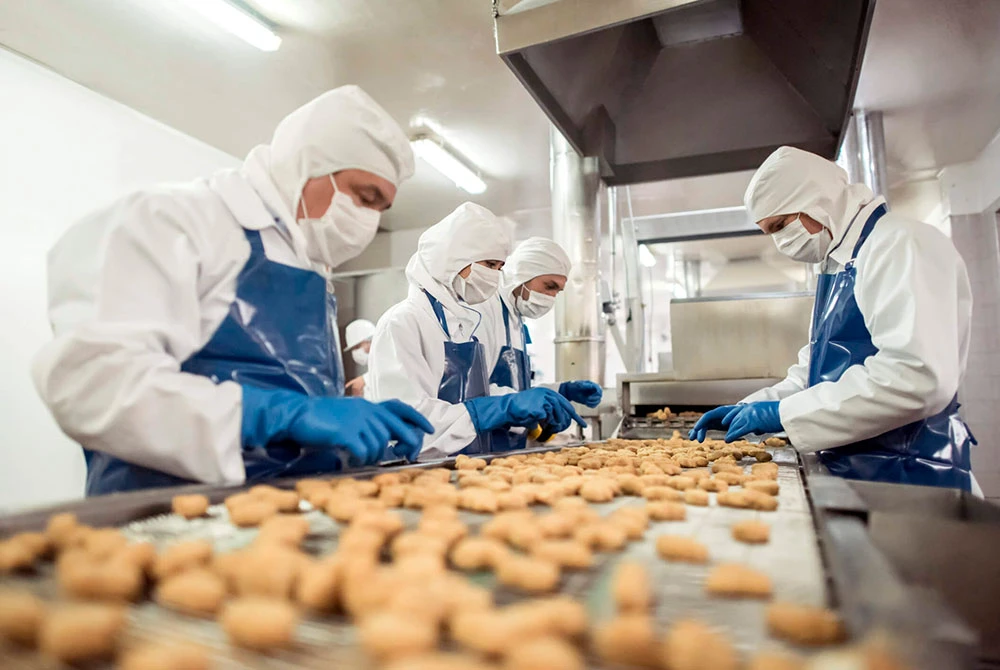 alimentos.webp