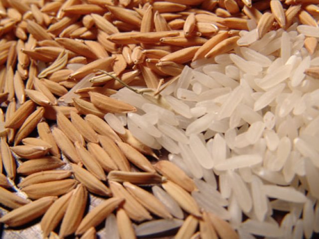 arroz-em-casca.jpg