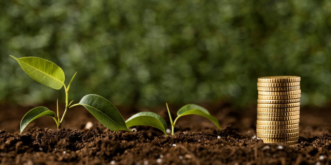 coins-stacked-dirt-with-plants-1140x570.jpg