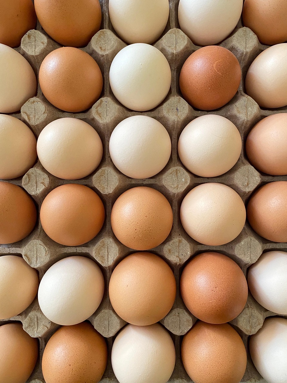 free-range-eggs-8809070_1280.jpg