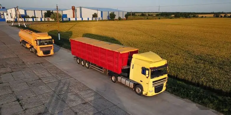 transporte.webp