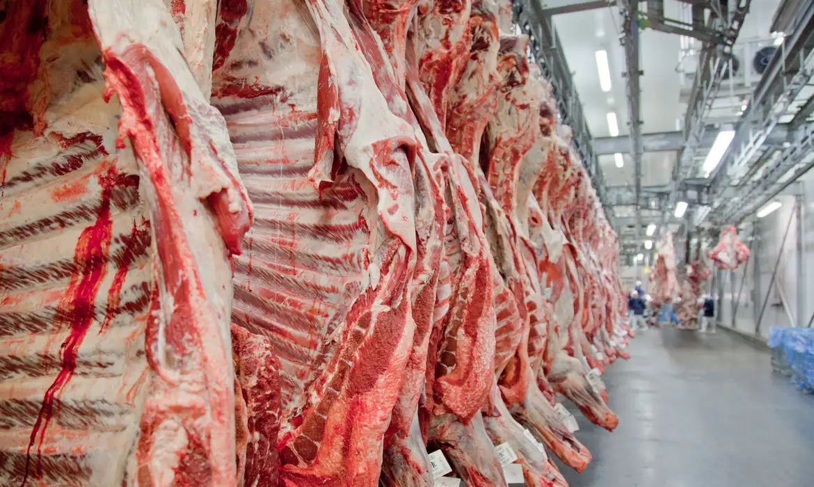 carne2.webp