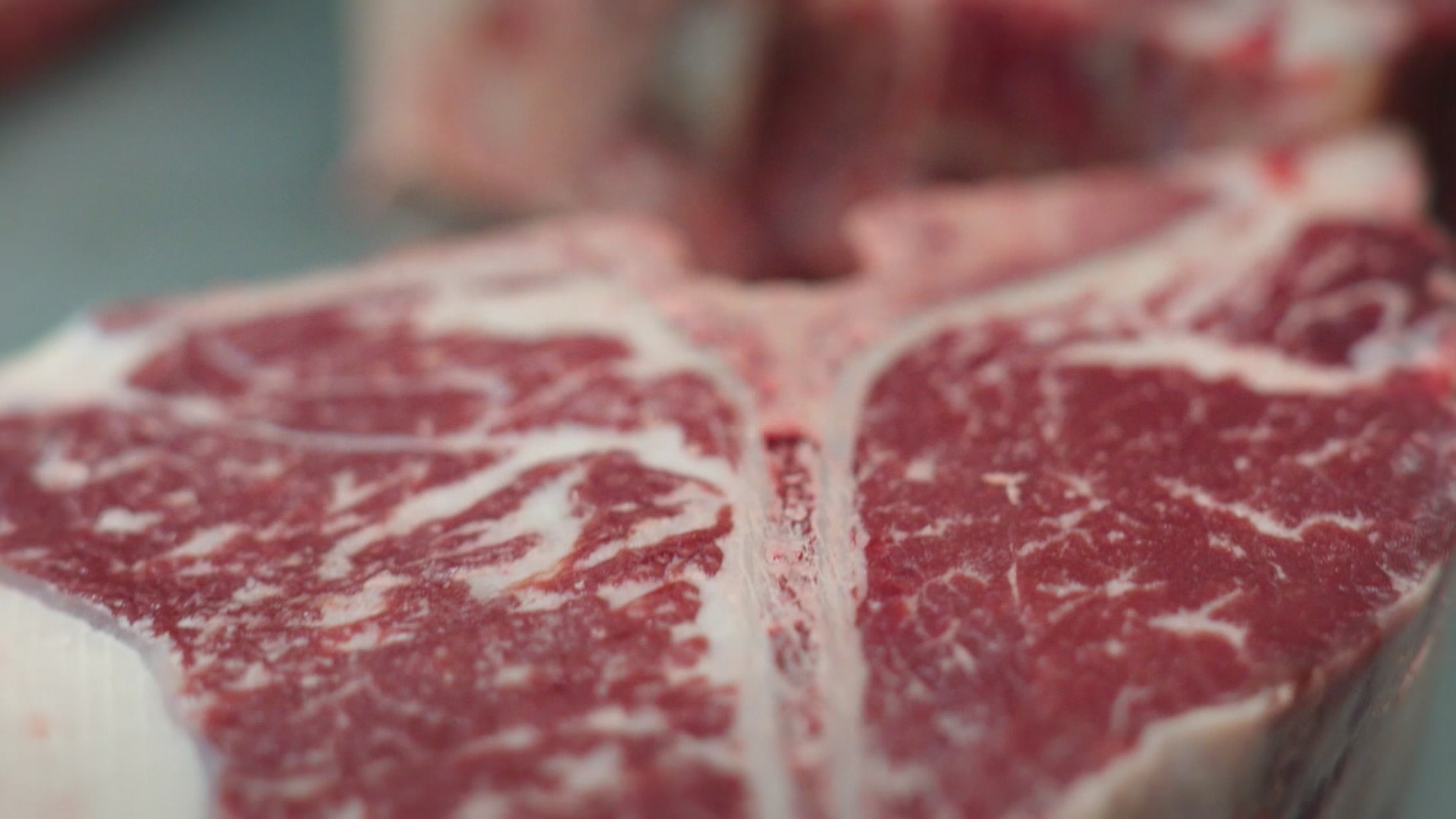 carne_1.jpg