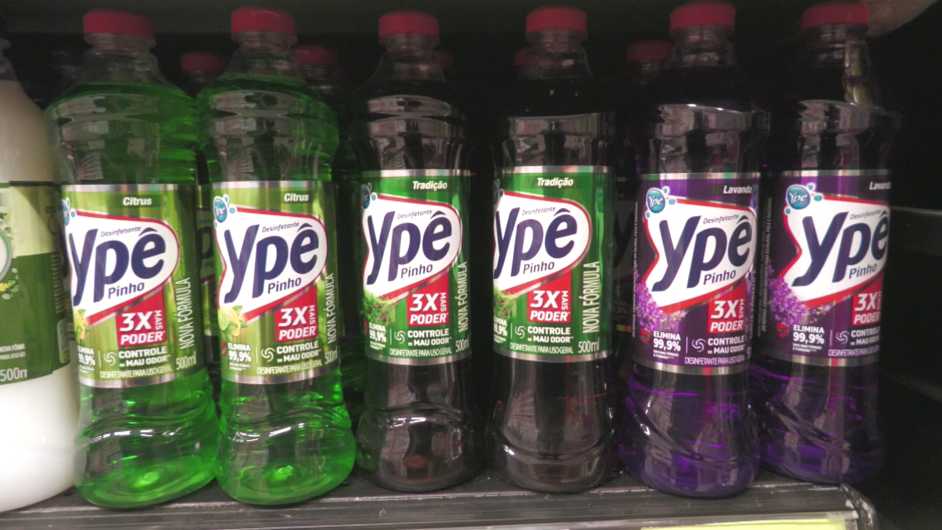 ype_1.jpg